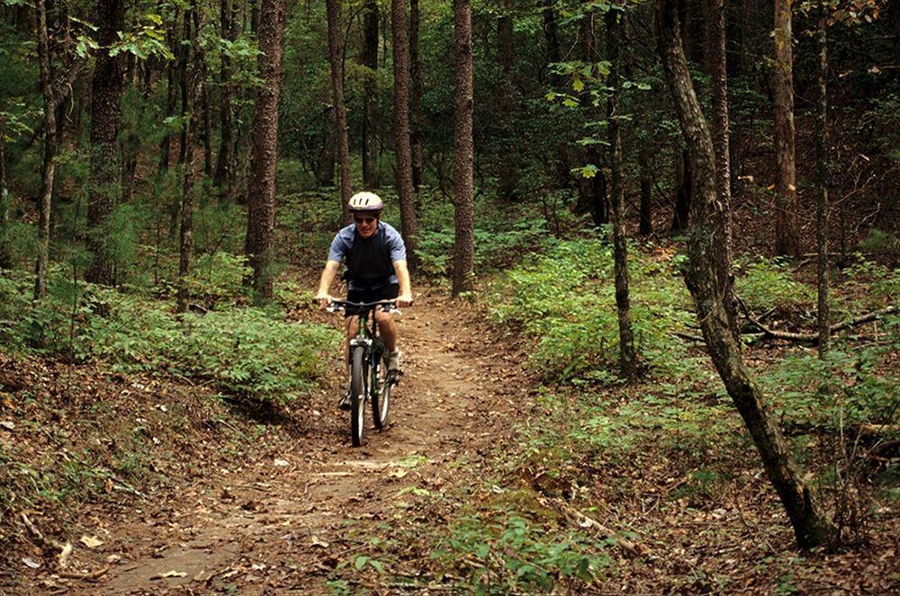 Unicoi State Park & Lodge Helen Luaran gambar